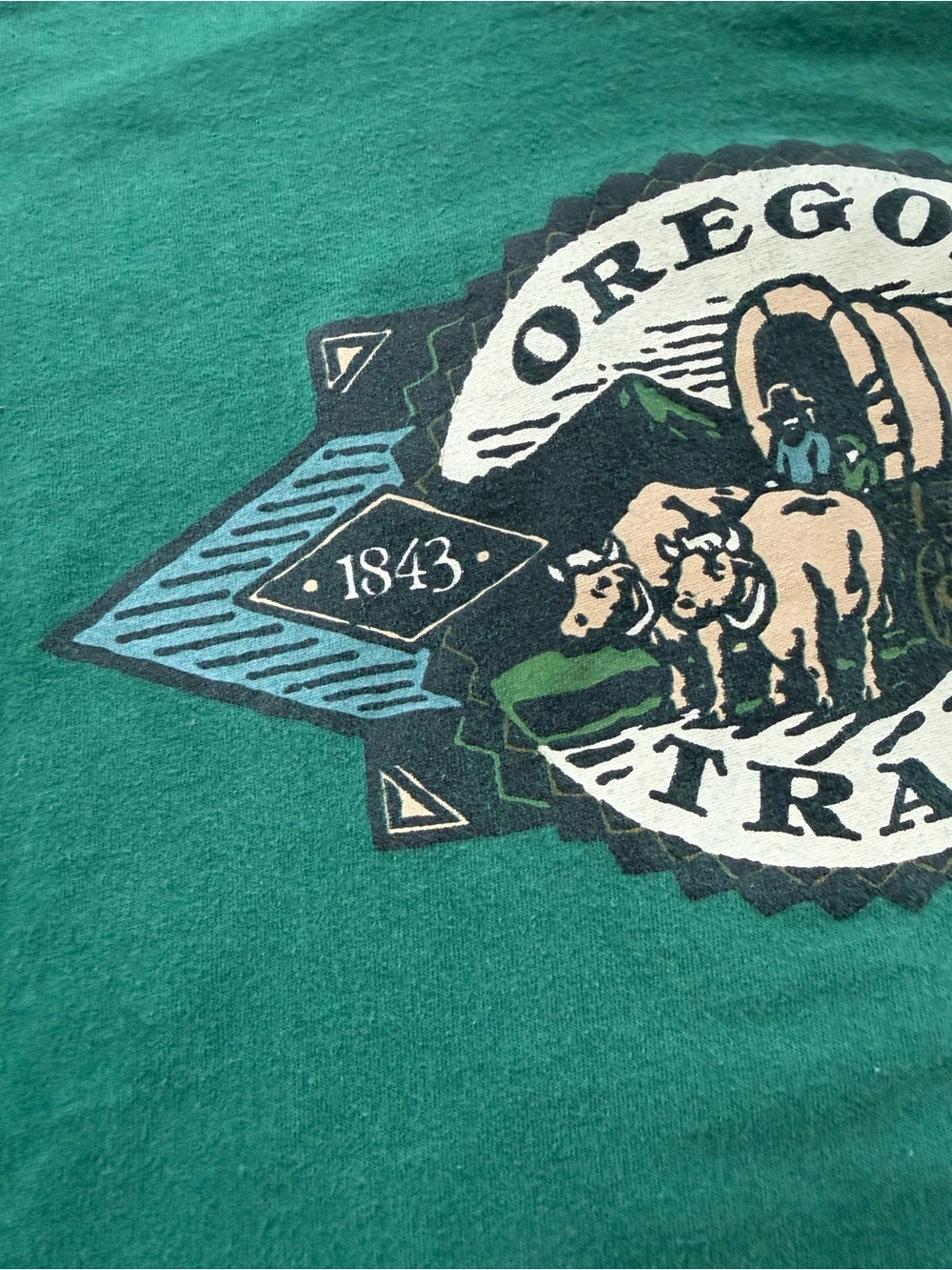 Vintage 90s Single Stitch Hanes Oregon Trail T-Shirt Green 100% Cotton USA S/M - Picture 7 of 9